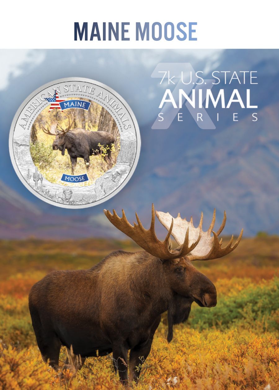 MAINE MOOSE Graded MS70 State Animals 1 Oz Silver Coin 5$ Cook Islands 2021