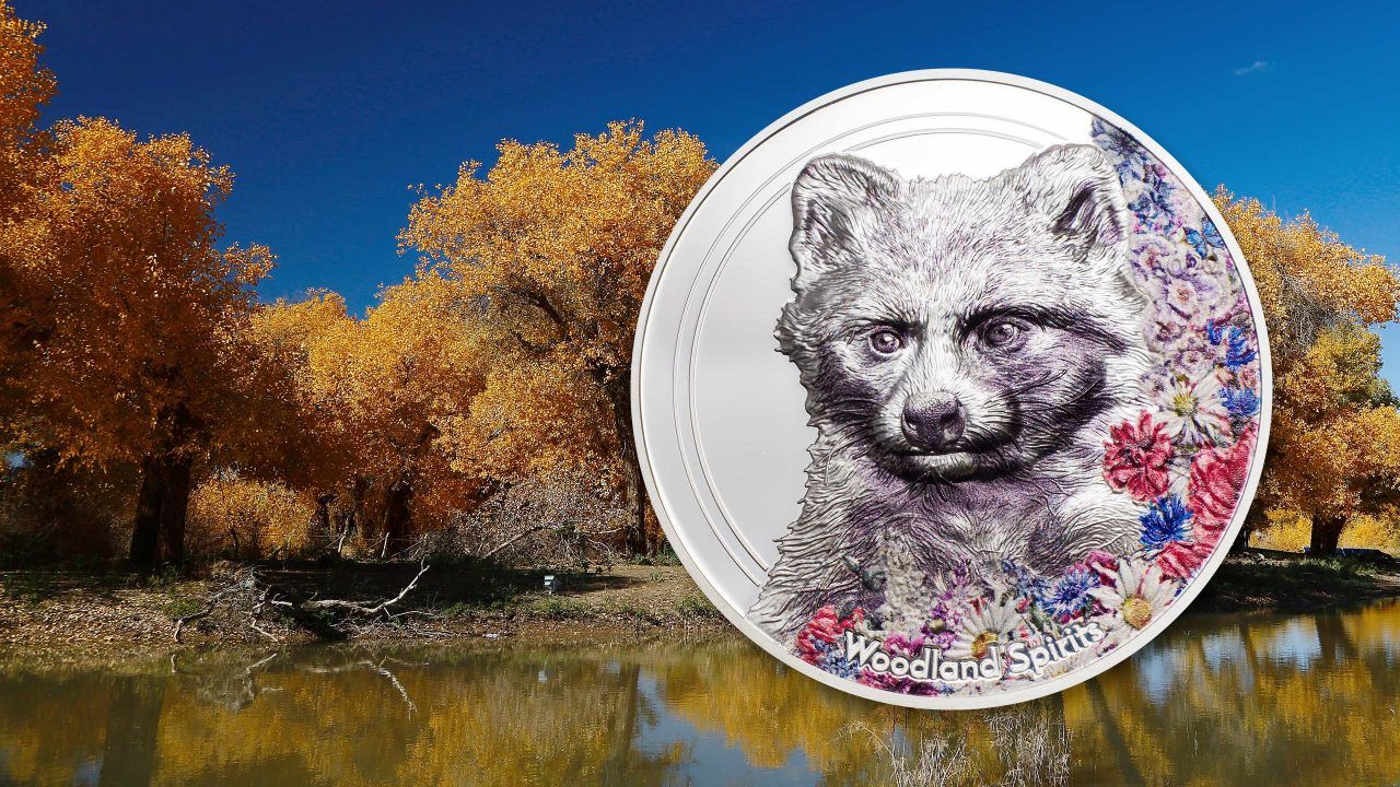 2020 Woodland Spirits Raccoon Dog 1oz Silver Coin