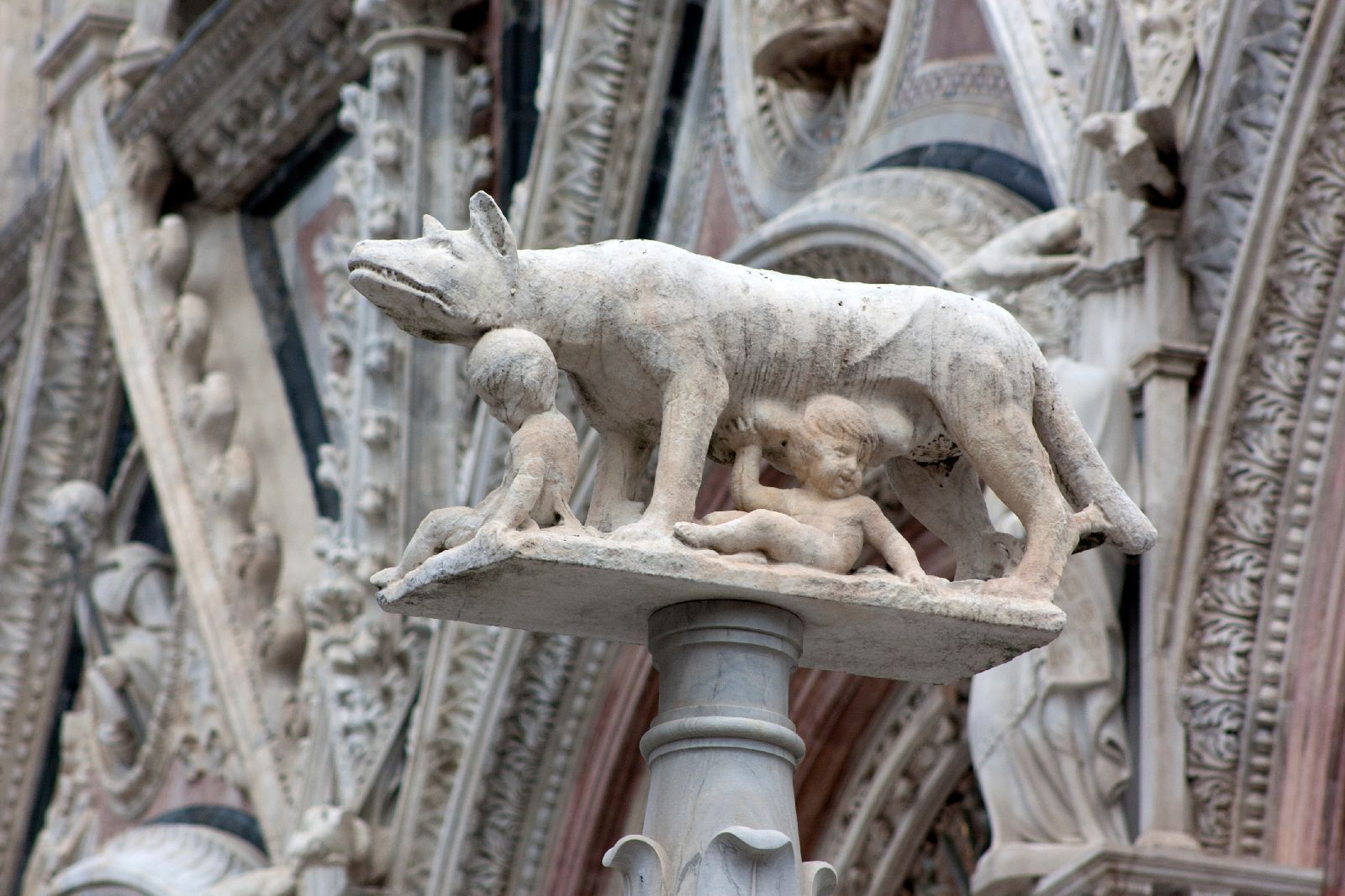 Romulus Remus sculpture on Sienne Duomo, Italy