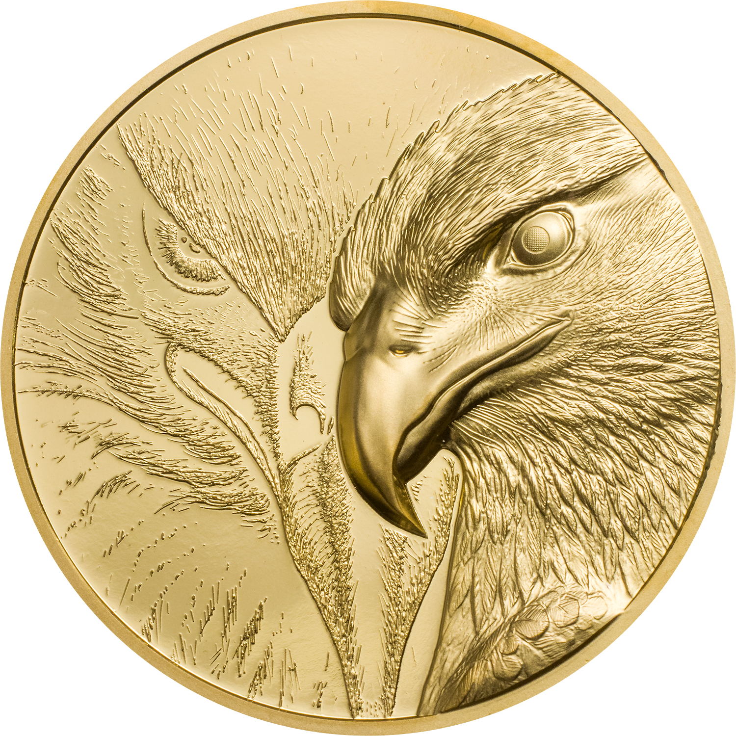 Монета Монголия орёл. Монетка Орел Орел. 500 Тугриков Монголия монета 2020. Монета 50 тугриков 2020. Орел монеты как называется