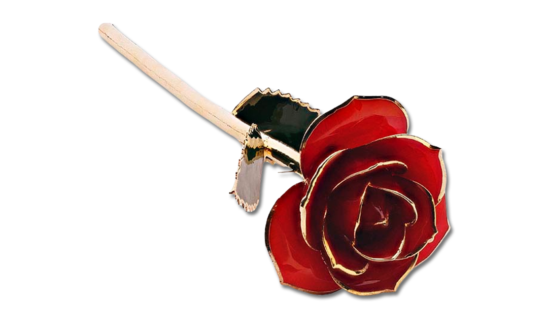 24k Gold Trimmed Long Stemmed Red Rose