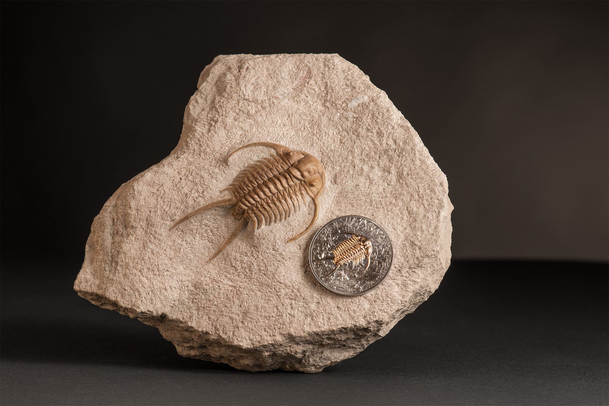 2016 Evolution of Life Trilobite Fossil 1oz Silver Coin