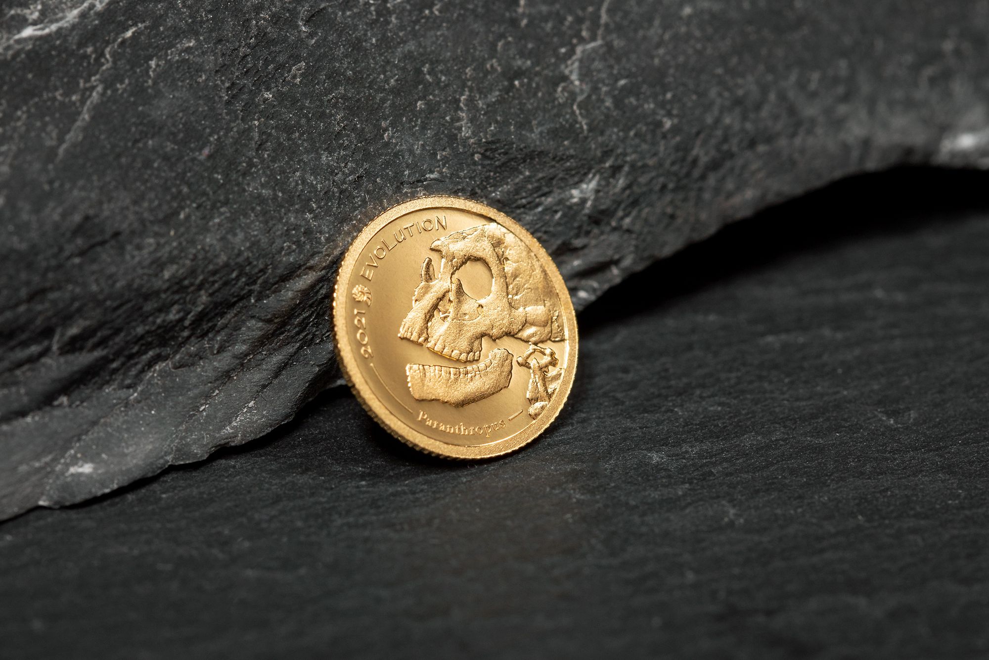 2021 Evolution of Life Golden Paranthropus Half Gram Gold Coin