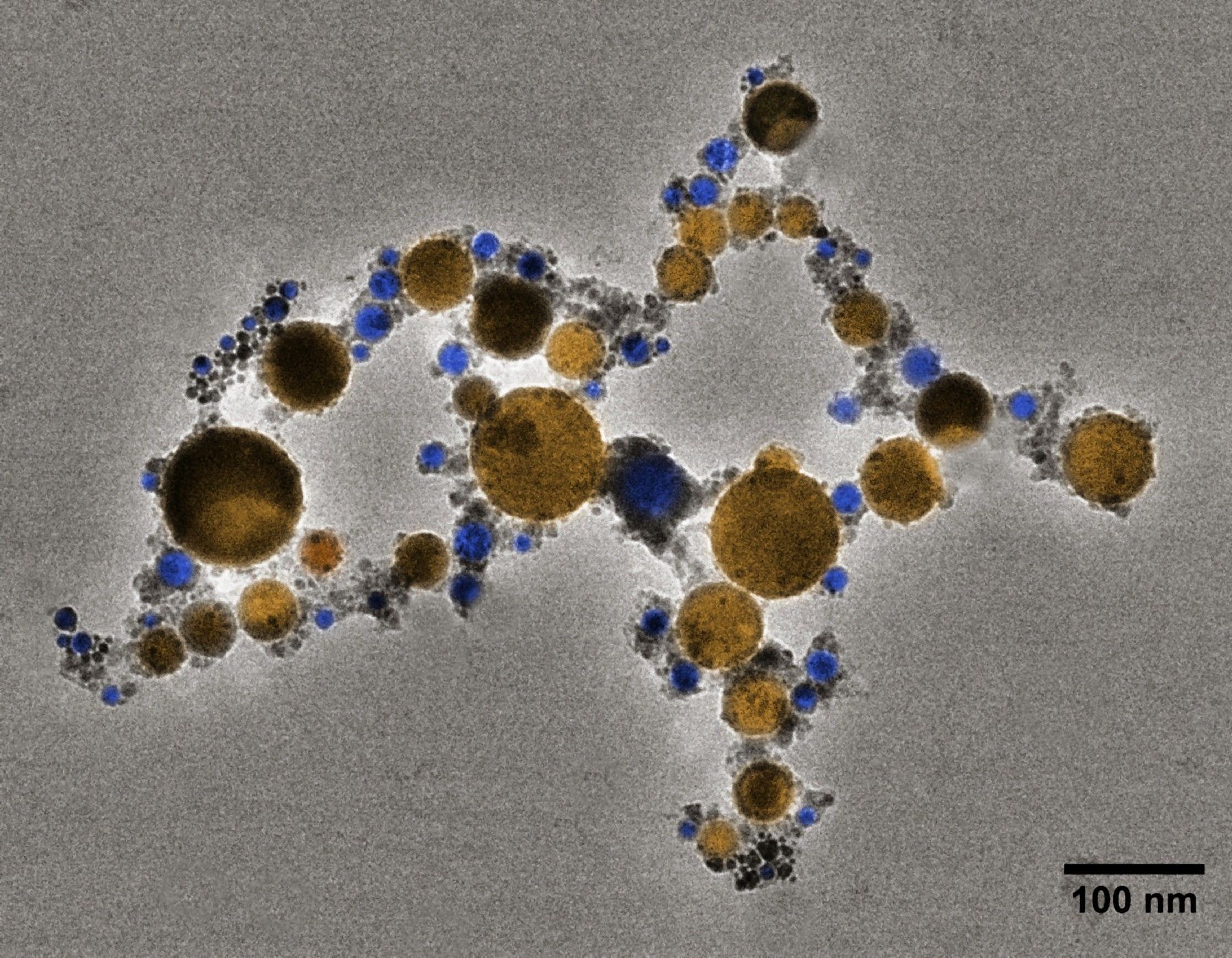 gold-nanoparticles-under-microscope