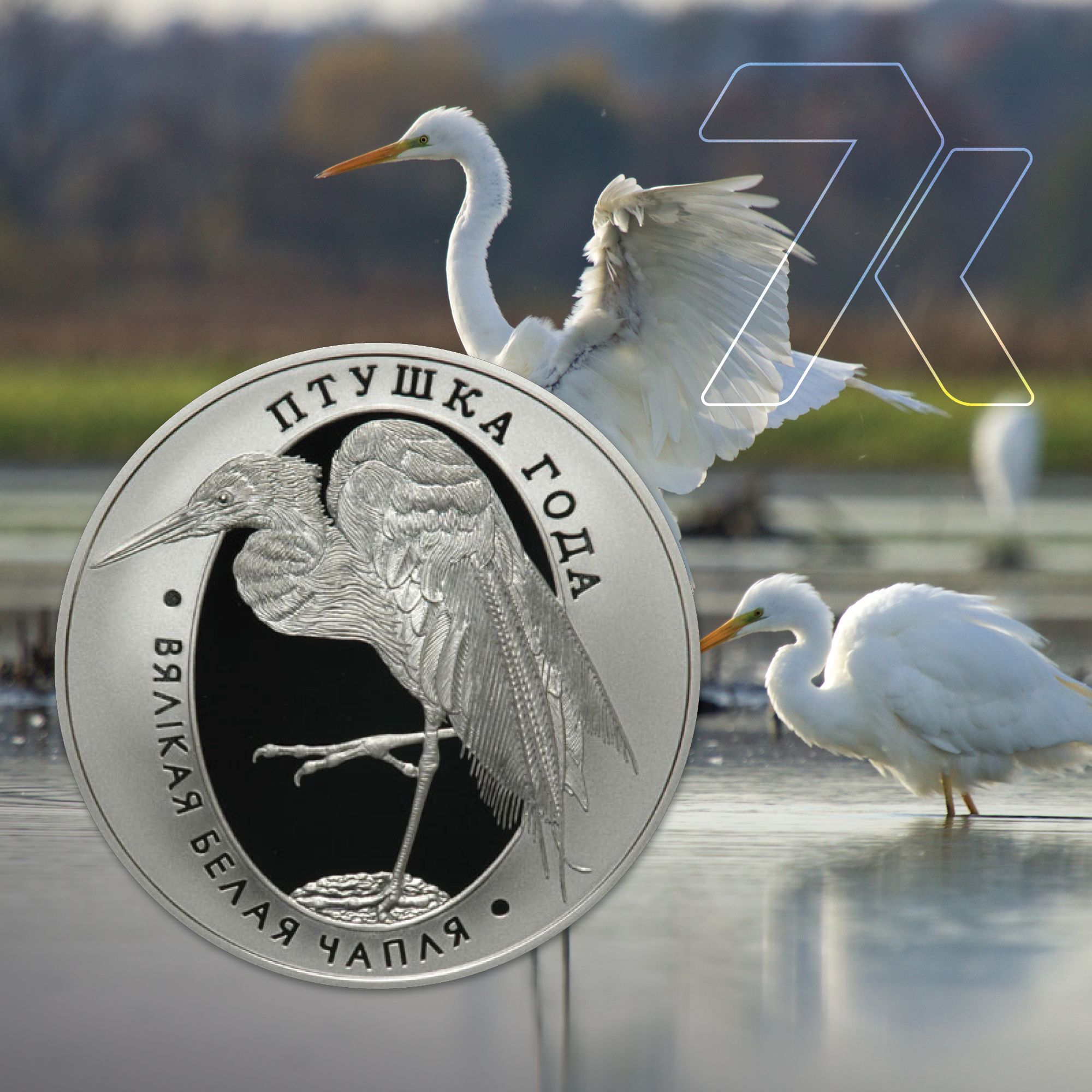 2008 Belarus Great White Egret 1/2 oz Silver Coin