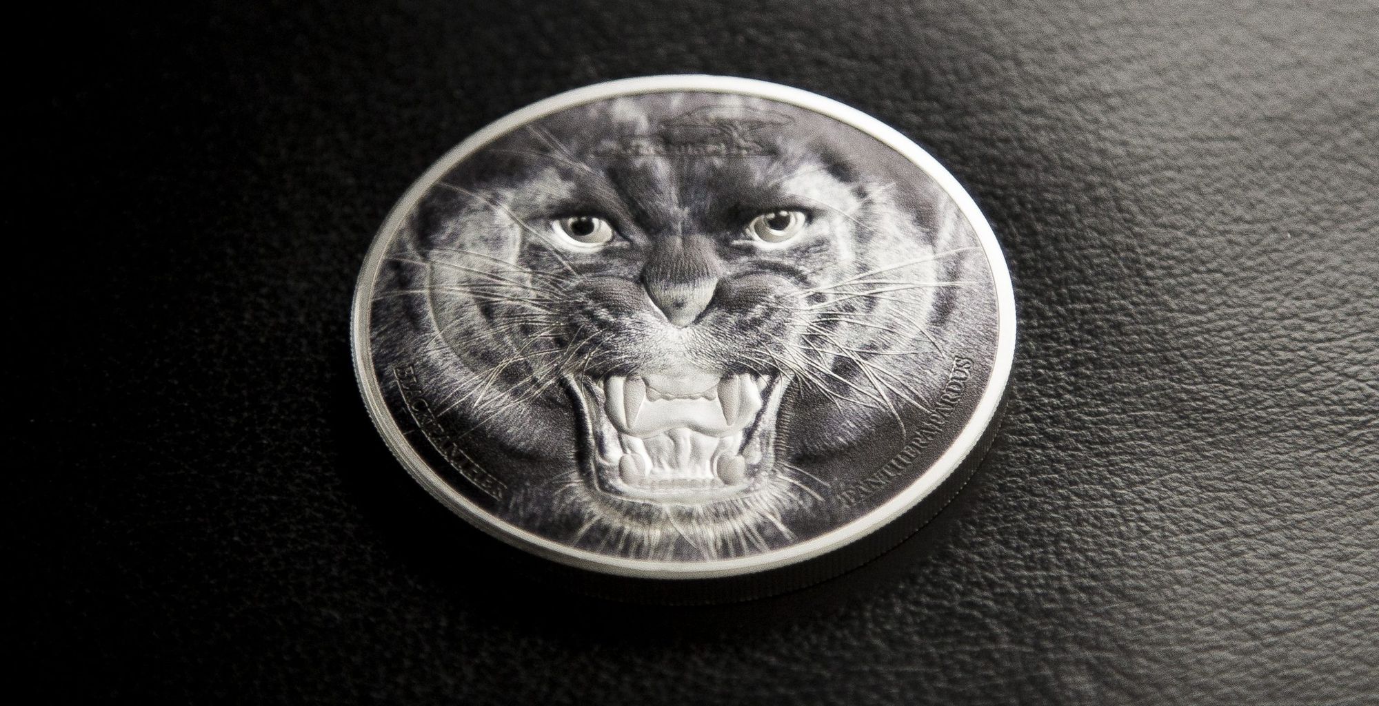 2016 Rare Wildlife Black Panther 2oz Silver Coin
