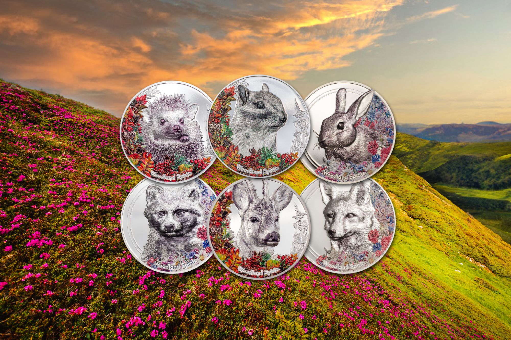 woodland spirits coin collection