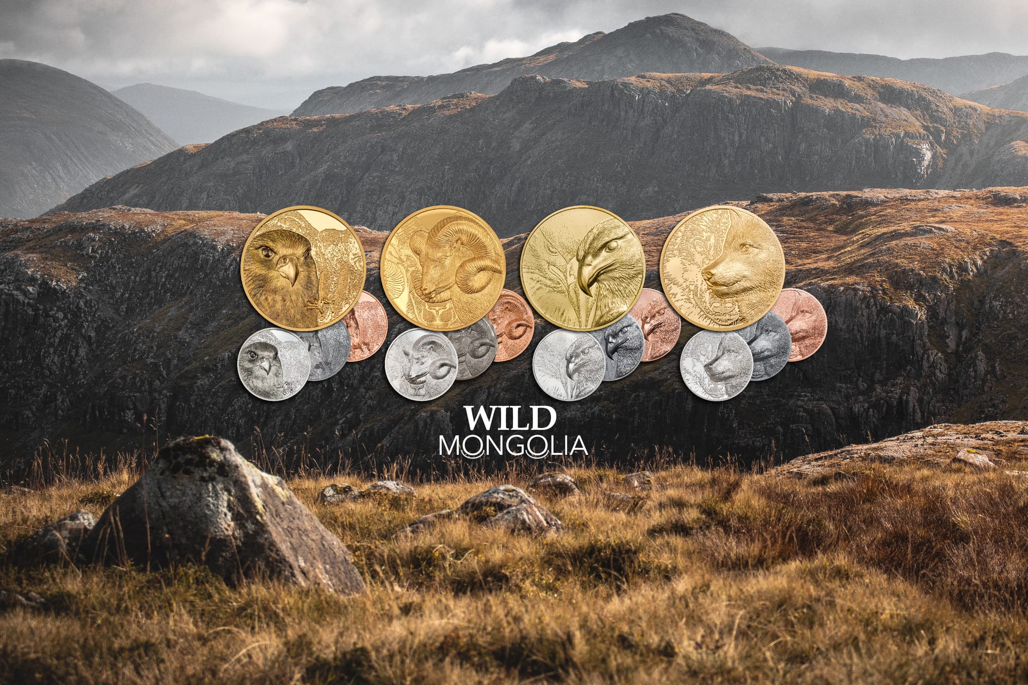 Wild Mongolia Coin Collection