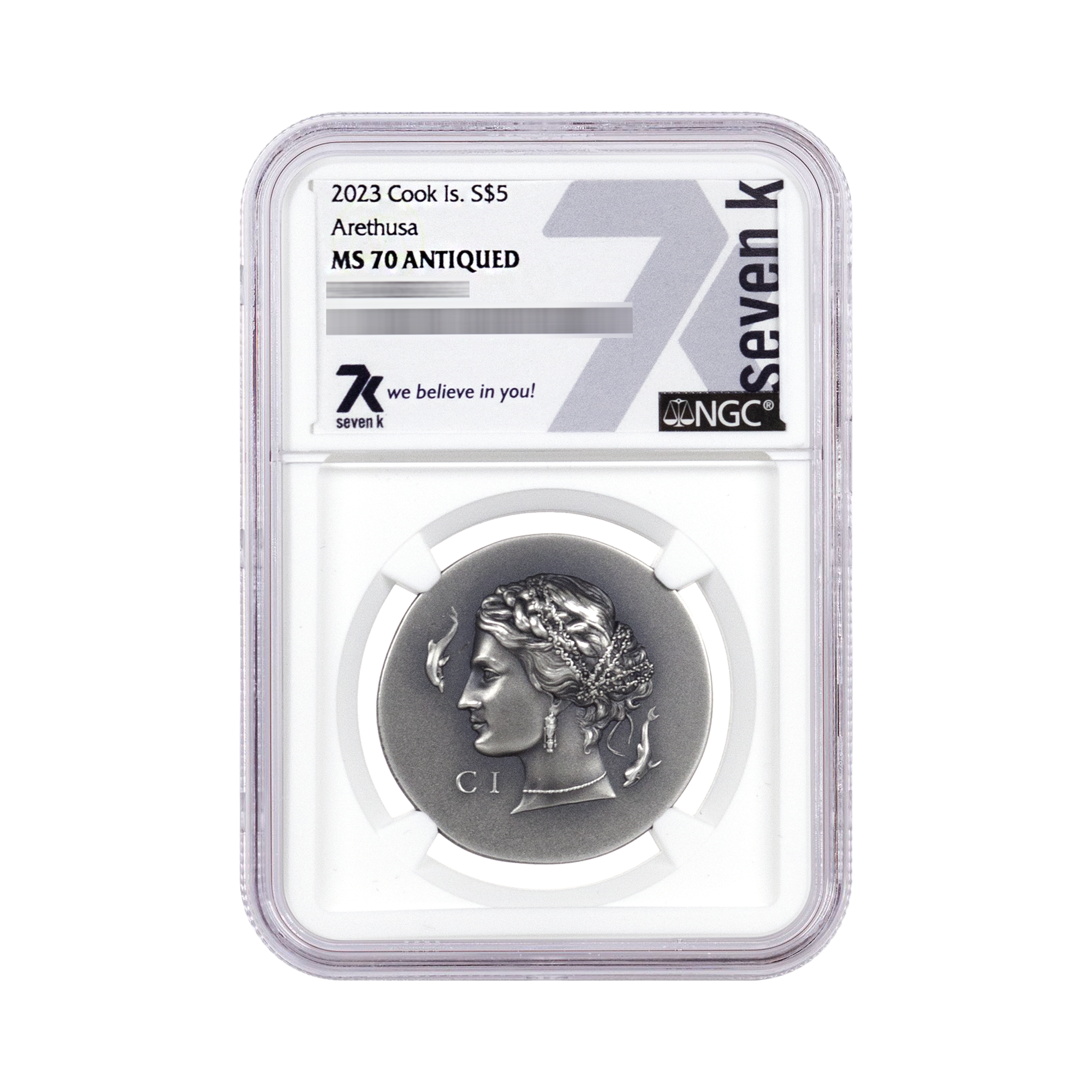 Antiqued Silver Coin Drop