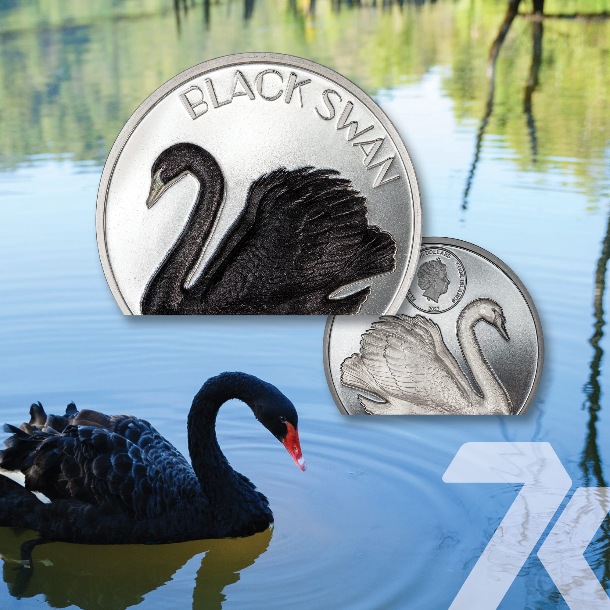 2023 Black Swan 2-oz silver coin PF70 & PF69