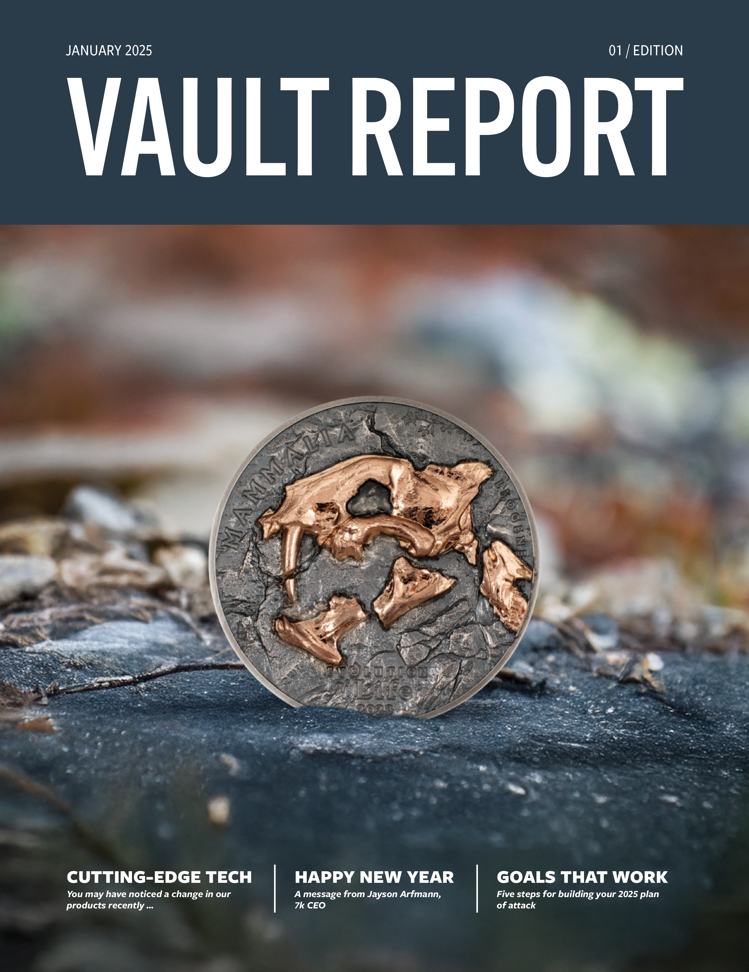 January 2025 Vault Report