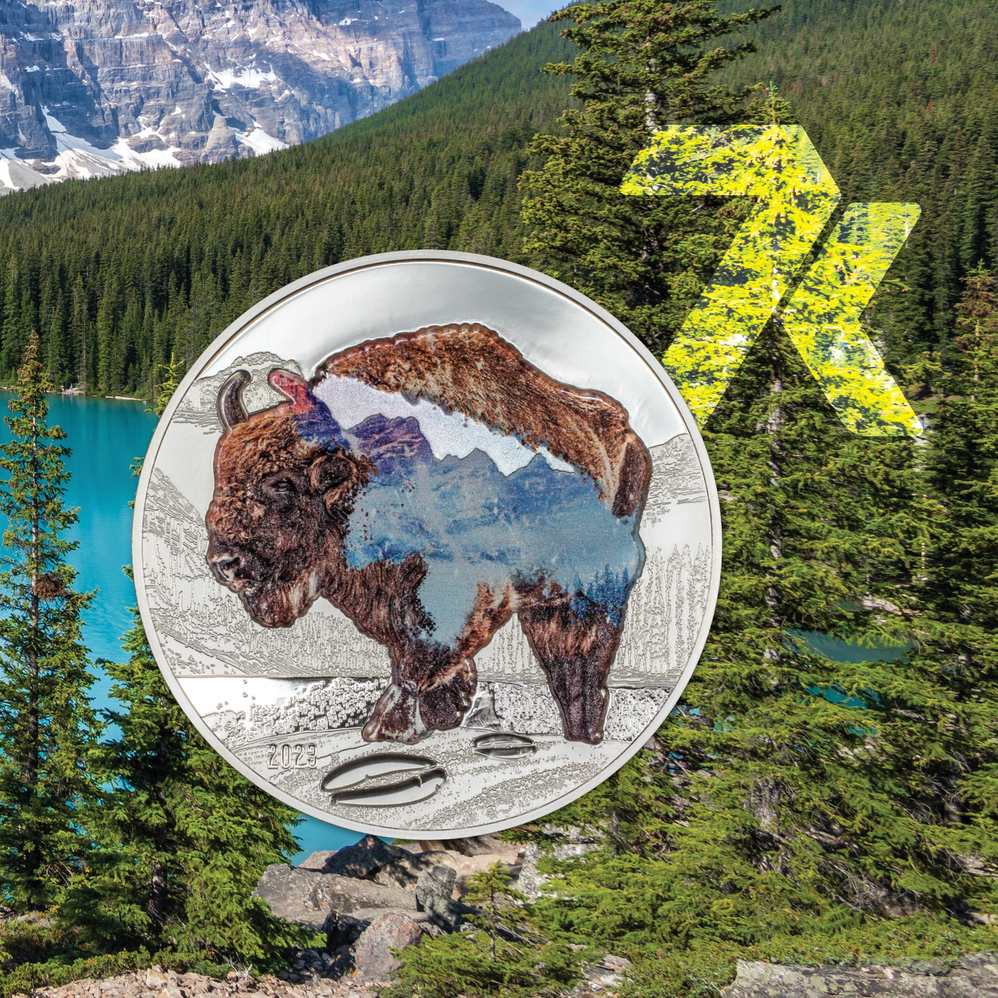 2023 Into the Wild – Bison 2-oz silver PF70 & PF69