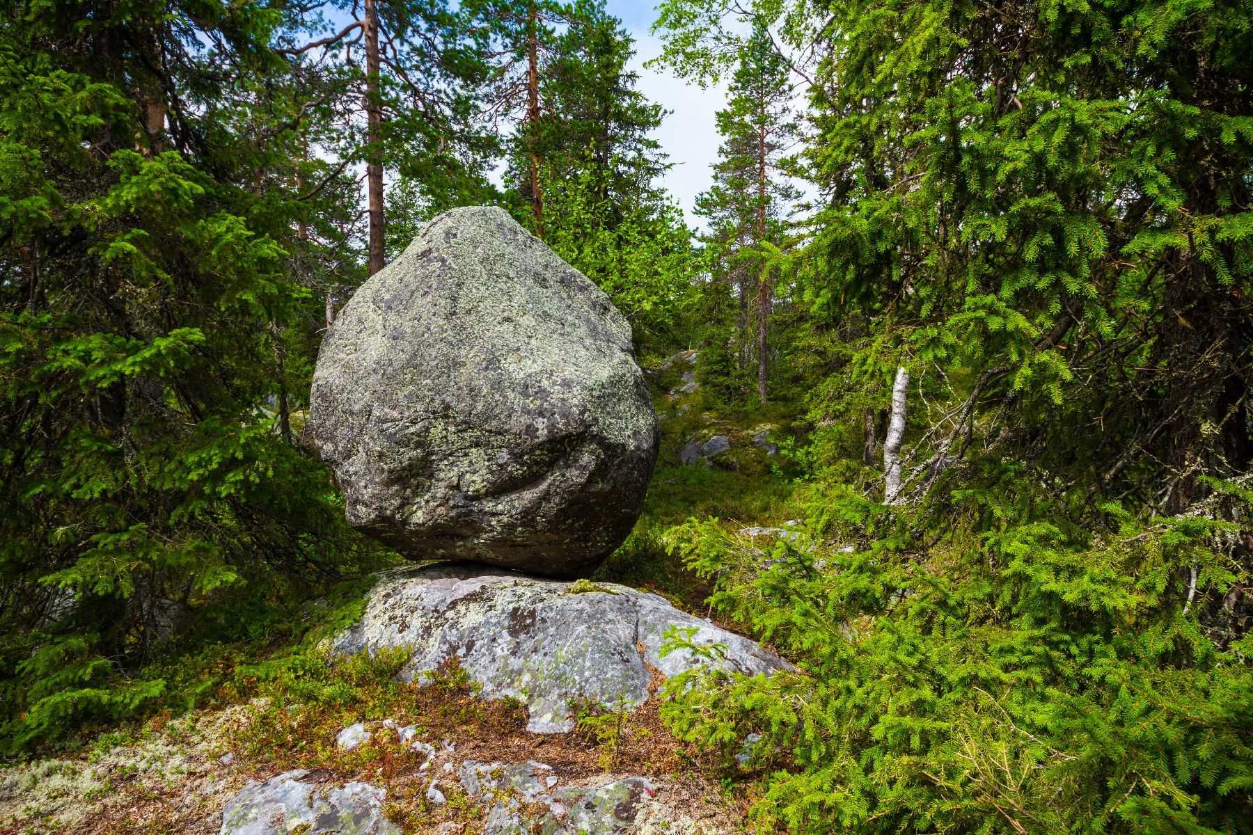 Associate Training with Zach Davis