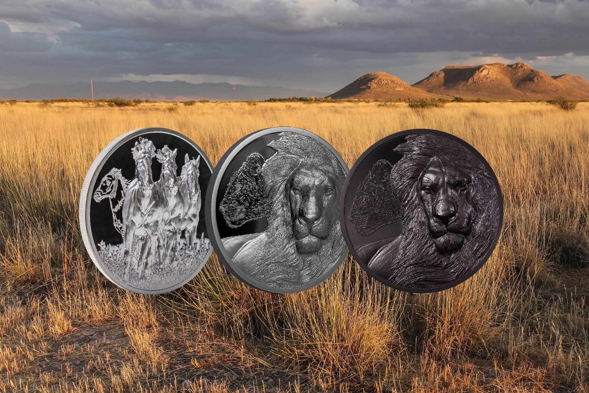 Growing Up Coin Collection