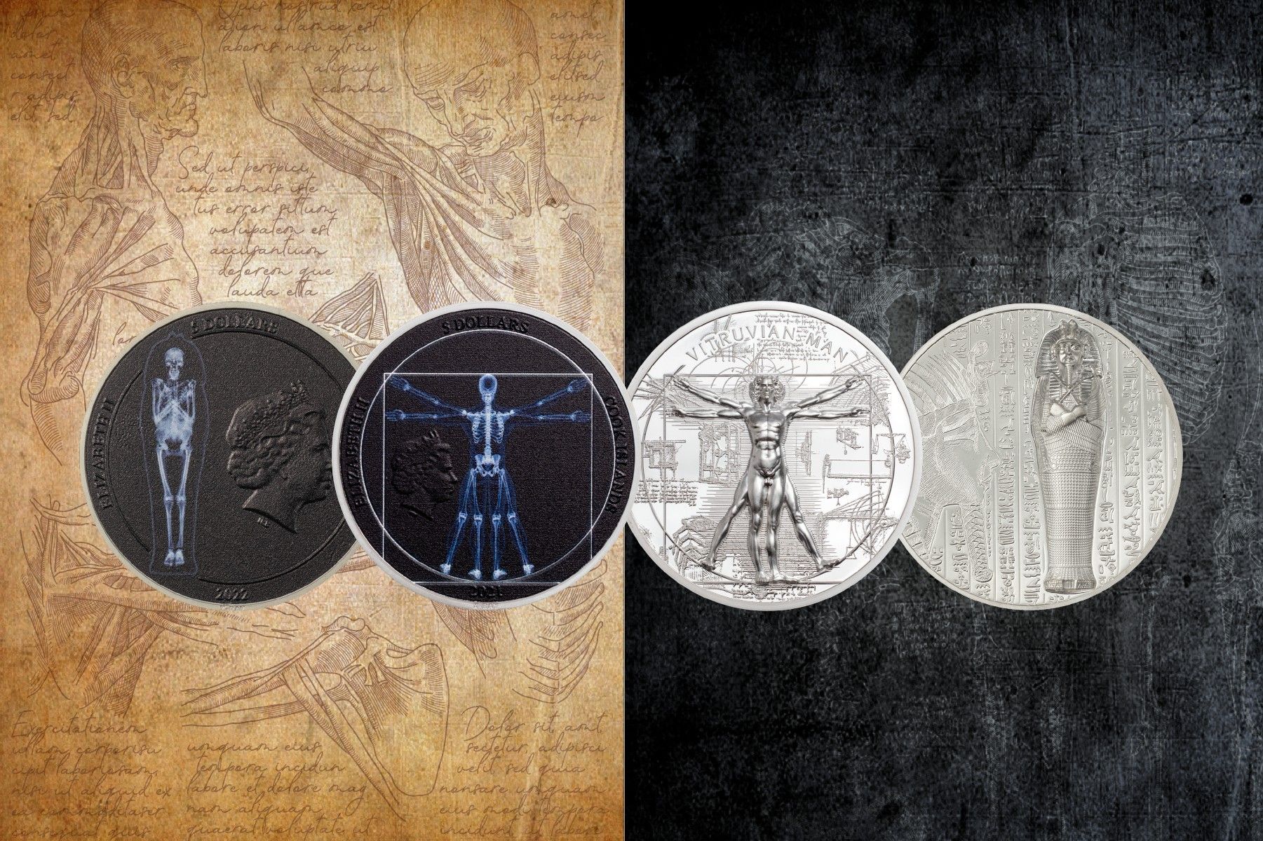 X-Ray Coin Collection