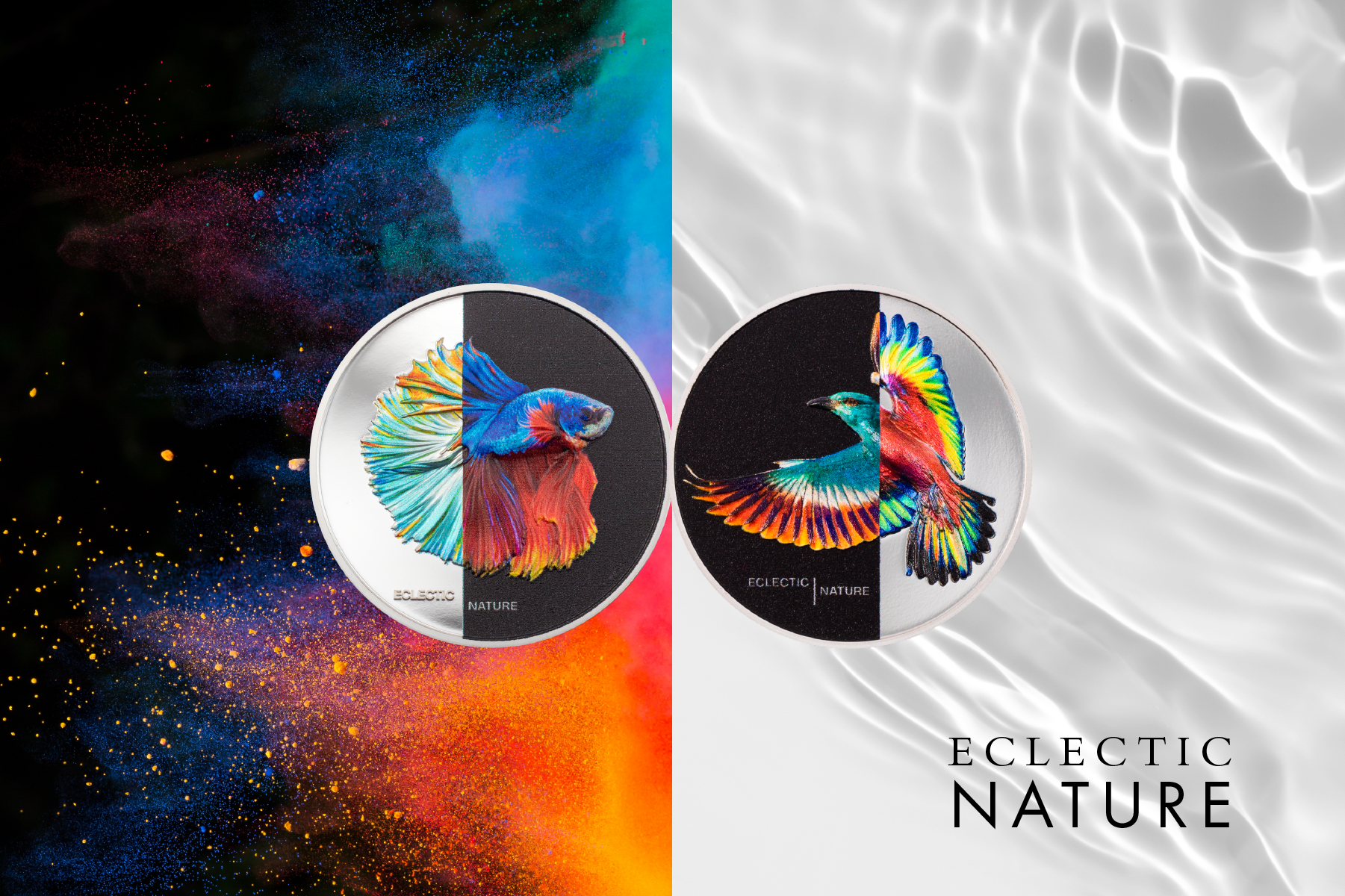 Eclectic Nature Coin Collection