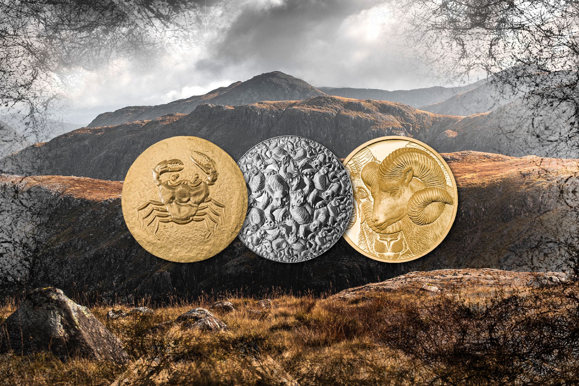 WILD Coins Releasing Friday