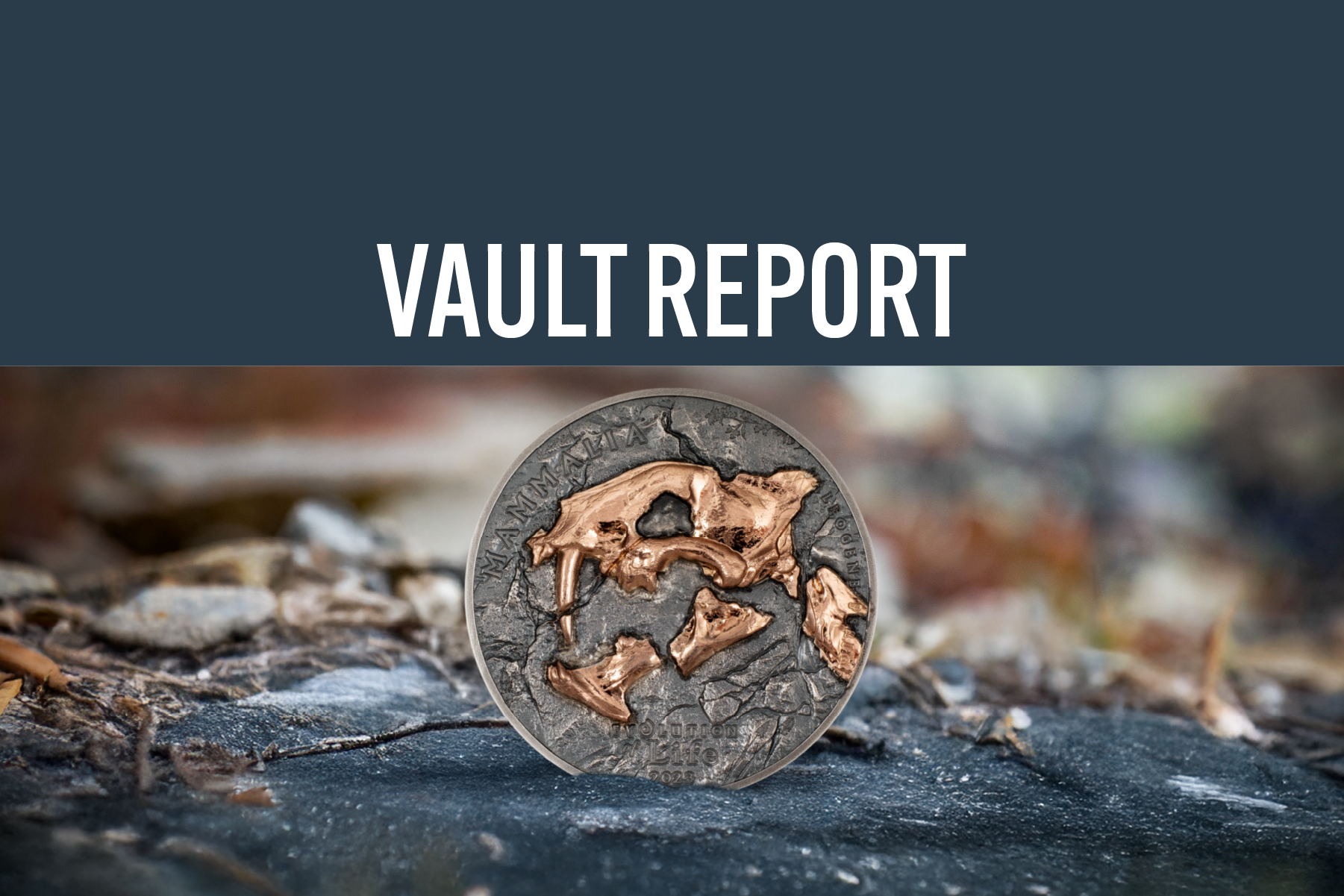 January 2025 Vault Report